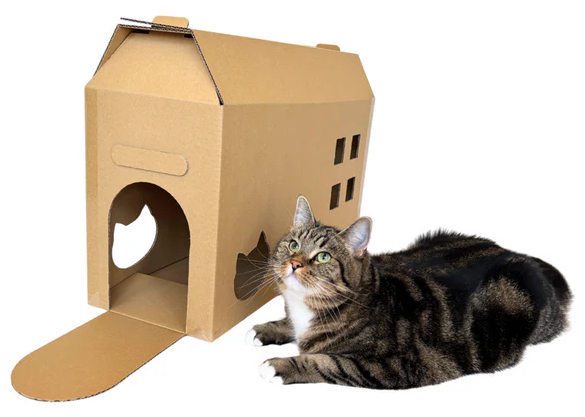梱包箱が猫のおもちゃに変身