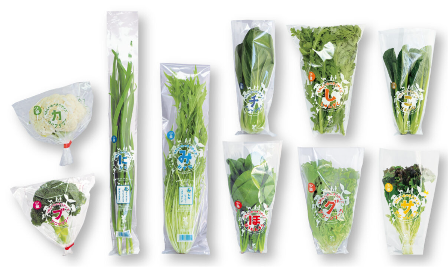 食べきりサイズ試して